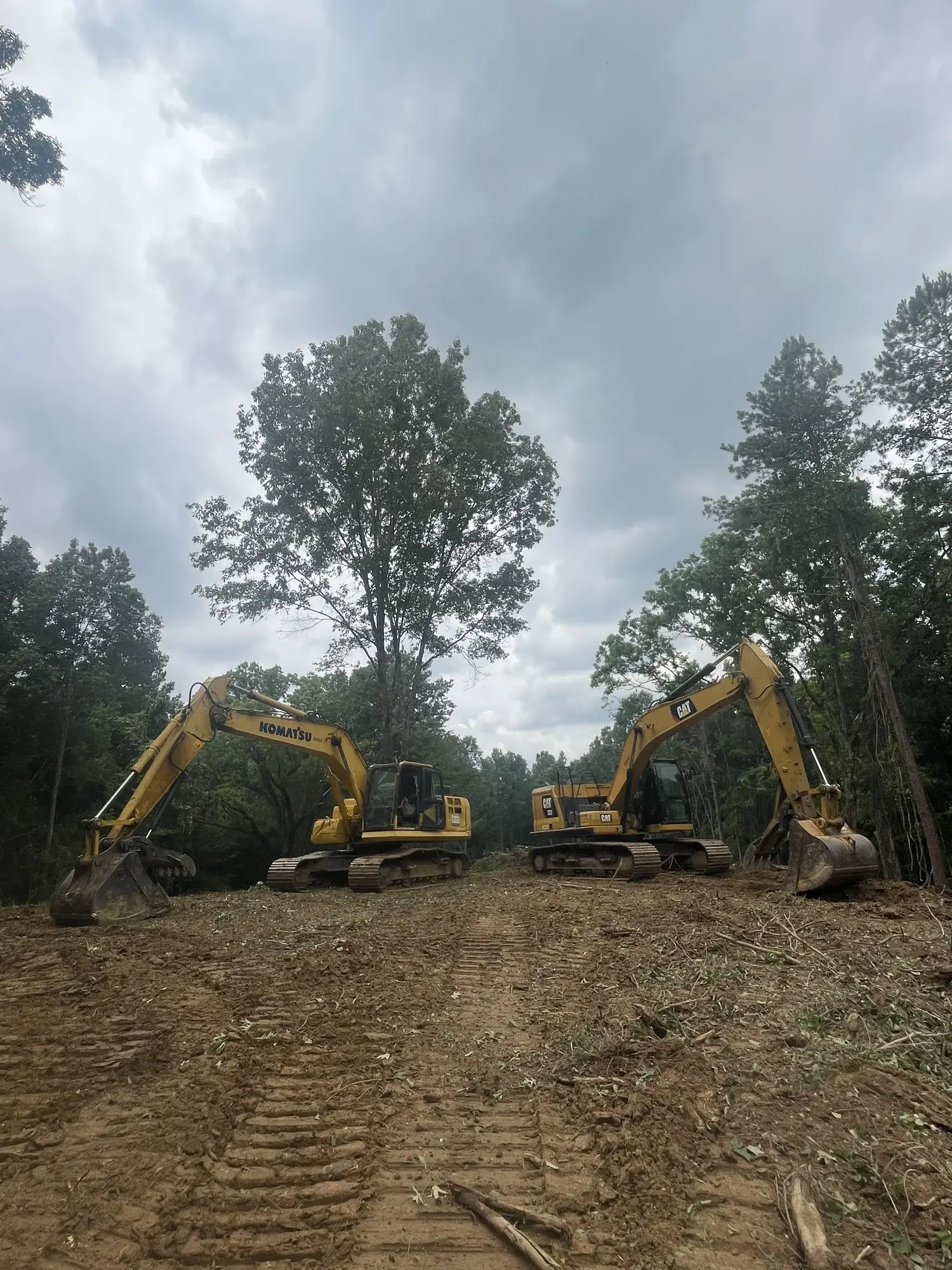 Tree Service