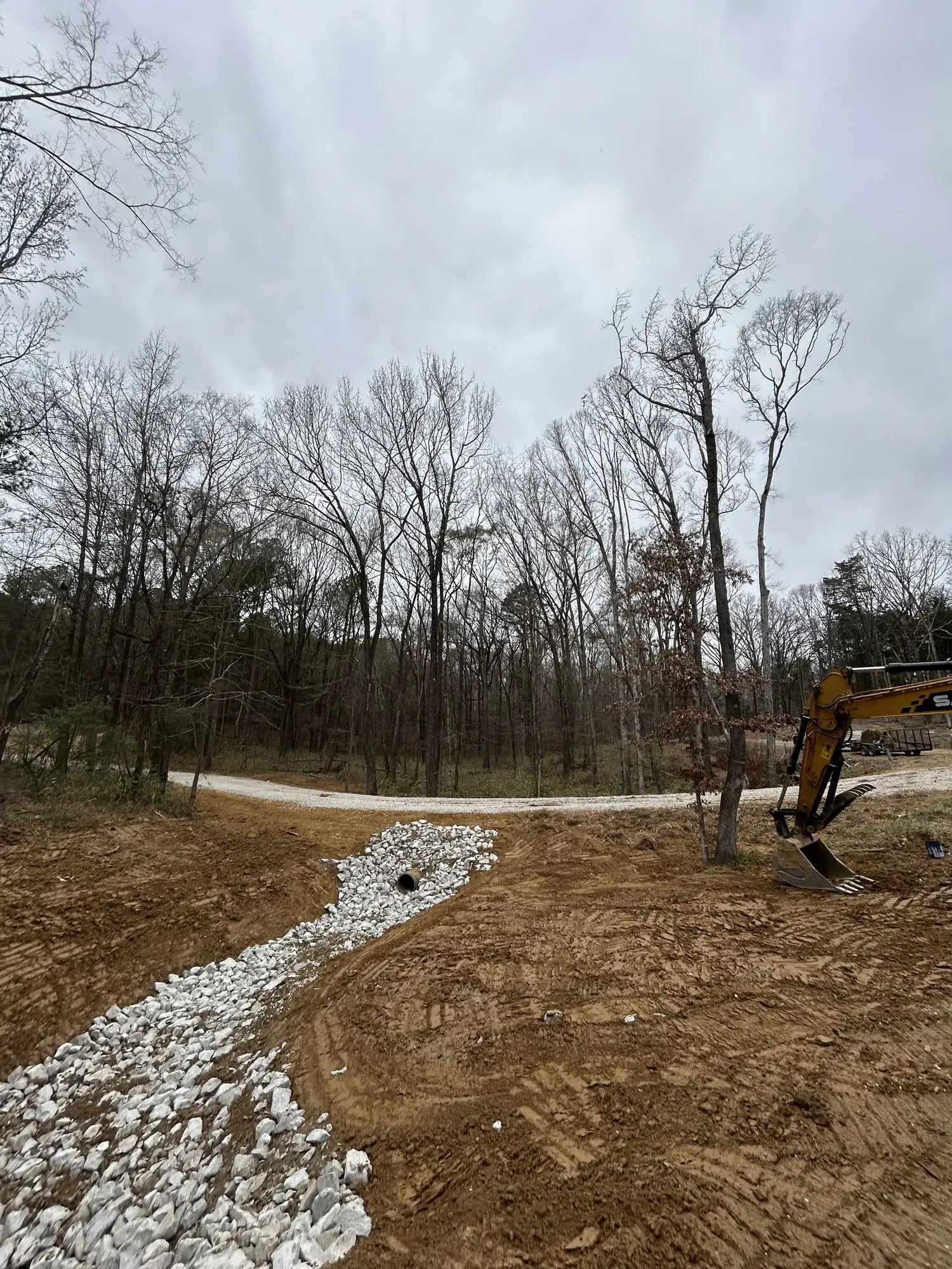 Tree Service