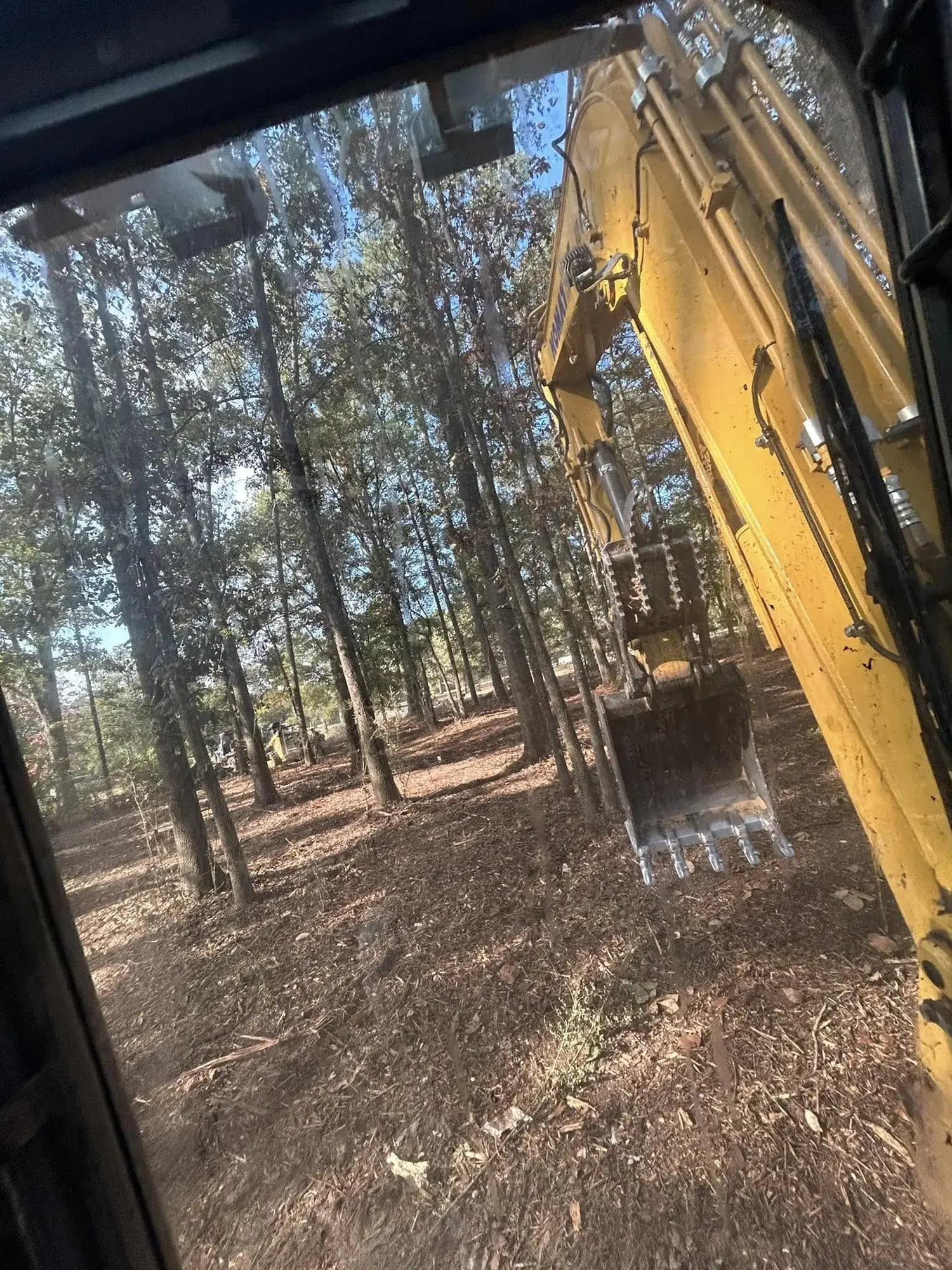 Tree Service